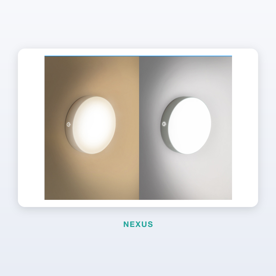Night Light — hero